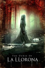 The Curse of La Llorona (2019) คำสาปมรณะจากหญิงร่ำไห้