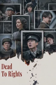Dead to Rights (2025) บันทึกหนานจิง