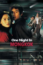 One Nite in Mongkok (2004) ดับตะวันล่า