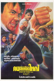 Fist of Fury (1991) คนเล็กต้องใหญ่ ภาค 1