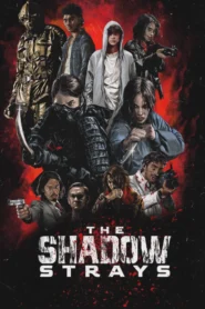 The Shadow Strays (2024) นักฆ่าเงาล่าทรชน
