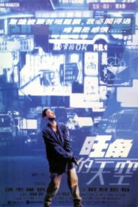 Man Wanted (1995) ฟัด ฟัด ฟัด ทะลุฟ้าโหด