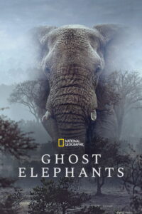 Ghost Elephants (2026)