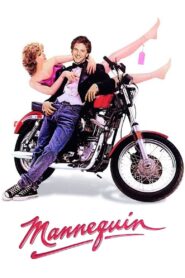 Mannequin (1987) เทวดาทำหล่น
