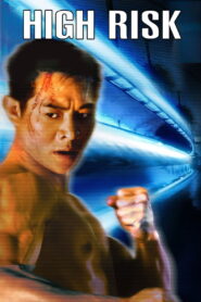 High Risk (1995) ตายยาก เพราะเธอเจ็บไม่ได้