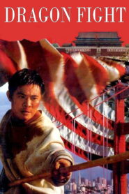 Dragon Fight (1989) มังกรกระแทกเมือง