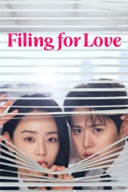 Filing for Love ยื่นคำร้องฉบับเลิฟ ซับไทย