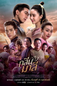 Aroma of Affection กลิ่นมาลี พากย์ไทย