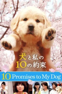 10 Promises to My Dog (2008) 10 ข้อสัญญาน้องหมาของฉัน