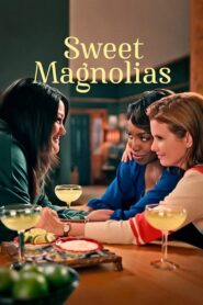 Sweet Magnolias หวาน กร้าว แกร่ง ซับไทย