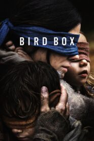 Bird Box (2018) มอง อย่าให้เห็น