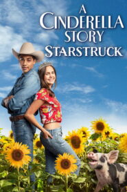 A Cinderella Story Starstruck (2021)