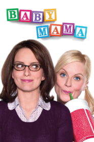 Baby Mama (2008) ฝากอุ้มบุญ คุณแม่มือใหม่